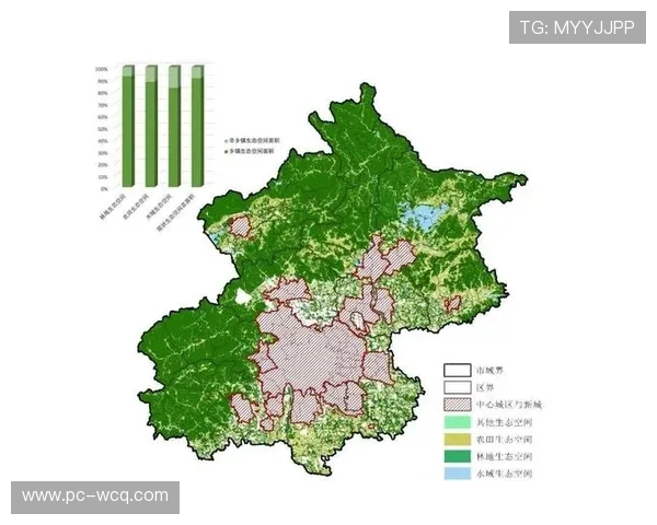 数字化采购渠道占比持续扩大，重构体育用品批发生态格局